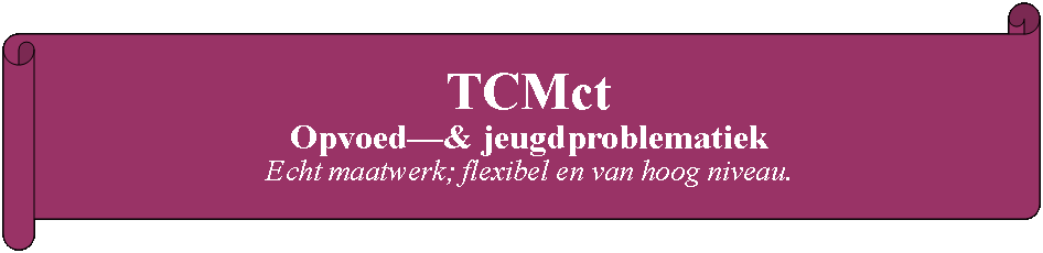 Rol: horizontaal: TCMct Opvoed& jeugdproblematiekEcht maatwerk; flexibel en van hoog niveau.